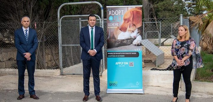 Gozo Adopt a Pet scheme to help rehome animals at Animal Welfare