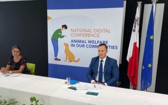 4,000 calls received on emergency number 1717 to help animals in distress