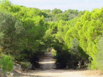 Government is “afraid of public opinion” says BirdLife Malta