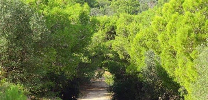 Government is “afraid of public opinion” says BirdLife Malta