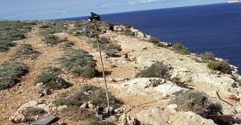 Trapping for songbirds opening soon – situation “completely surreal” – BirdLife
