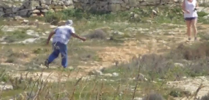 Gozitan trapper threatens young female dog walker with a stone – CABS