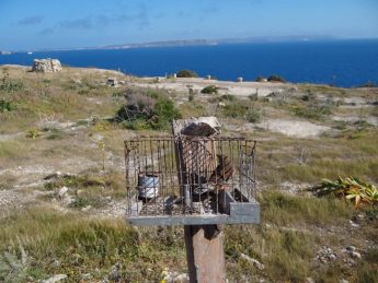 EC urged to re-establish rule of law in bird protection in Malta – BLM