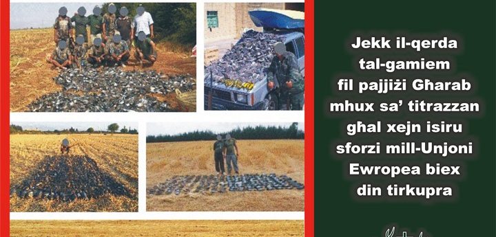 KSU calls for embargo on the Arab World over turtle dove hunting