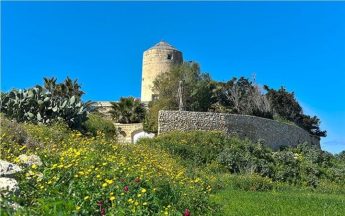 The Planning Authority is “failing Gozo” – Gozo Tourism Association The Planning Authority is “failing Gozo” – Gozo Tourism Association