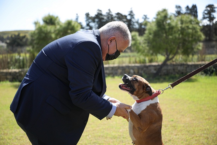 Animal Rights Awareness video campaign launched