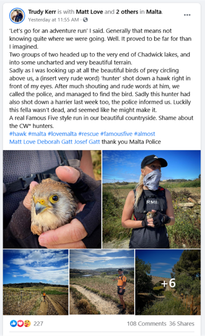 Illegal hunting casualties reported on a daily basis, including in Gozo - BLM