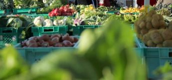 Ministry “deplores” Pitkala Association action over farmers selling own produce Ministry “deplores” Pitkala Association action over farmers selling own produce