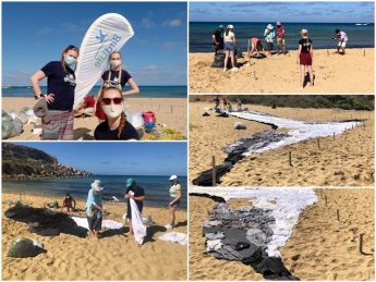 Join BirdLife Malta in Youtube event as they create giant image of Yelkouan Shearwater
