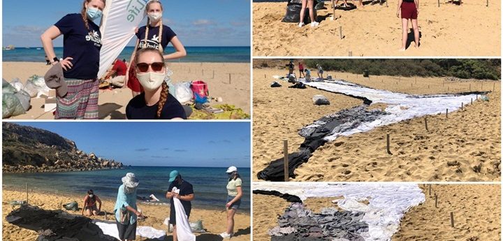 Join BirdLife Malta in Youtube event as they create giant image of Yelkouan Shearwater