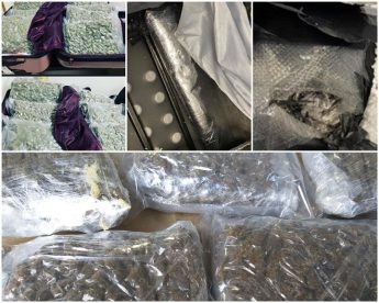 Malta Customs drugs seizure used as case study in WCO annual review