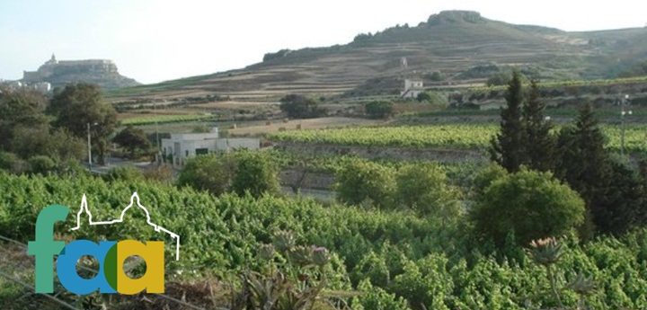 FAA calls on PA and EU to prevent destruction of Marsalforn Valley