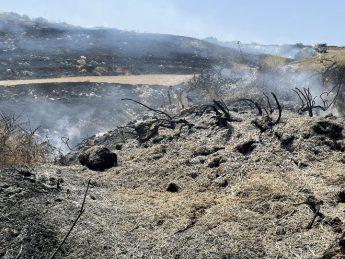 Fire on land near Xwejni Bay, Gozo causes damage to large area
