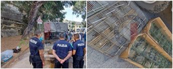 EPU and WBRU confiscate 34 birds from Floriana open market