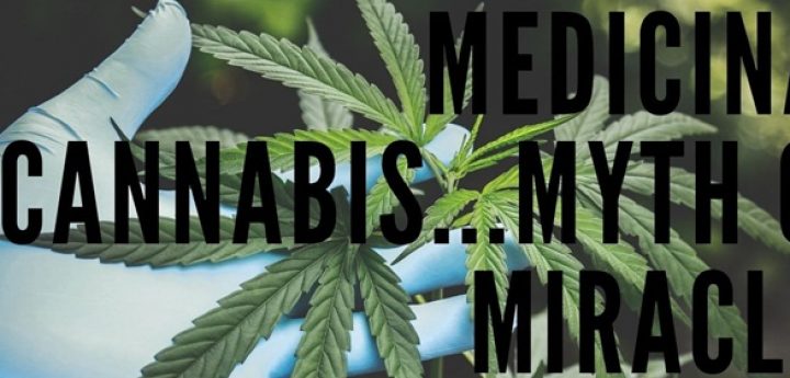 The use of medicinal cannabis discussed during OASI Foundation lecture