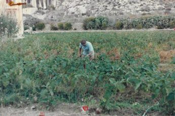 This Land is My Land – by Lino DeBono