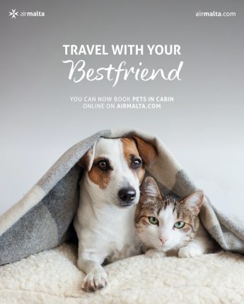 Travelling with pets on board Air Malta flights has got easier Travelling with pets on board Air Malta flights has got easier