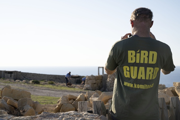 "Catch and release participants poaching thousands of wild birds" - CABS