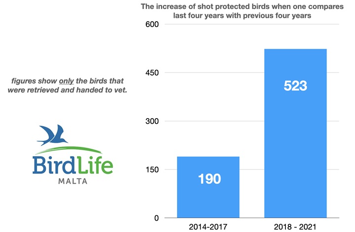 Malta needs to solve illegal hunting problem and resume verification of stuffed protected birds