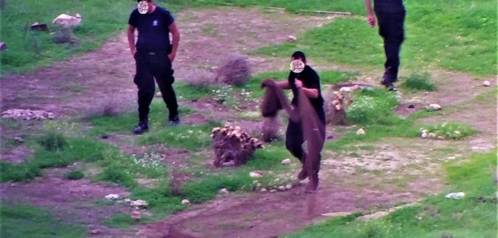 Man caught trapping birds illegally only 24 hours after convicted for same offence