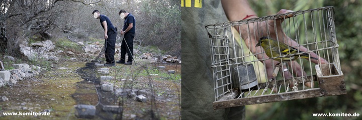 Two poachers convicted for illegal trapping during closed season