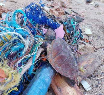 Nature Trust Malta welcomes Ghost nets recovery initiative