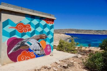 Street Art guide highlights the migratory birds of Malta and illegal hunting Street Art guide highlights the migratory birds of Malta and illegal hunting