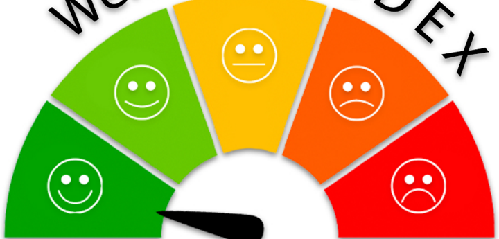 One-stop website for Wellbeing INDEX launched