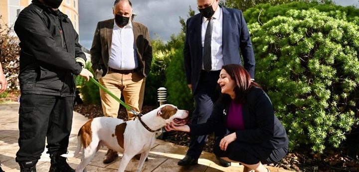 €129,000 from Animal Welfare Fund to 20 VOs, including 2 in Gozo