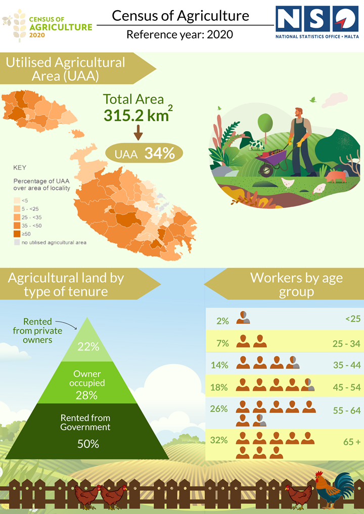 Less agricultural land under cultivation over last 10 years - NSO survey