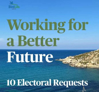 BirdLife issues 10 electoral requests on nature and the environment