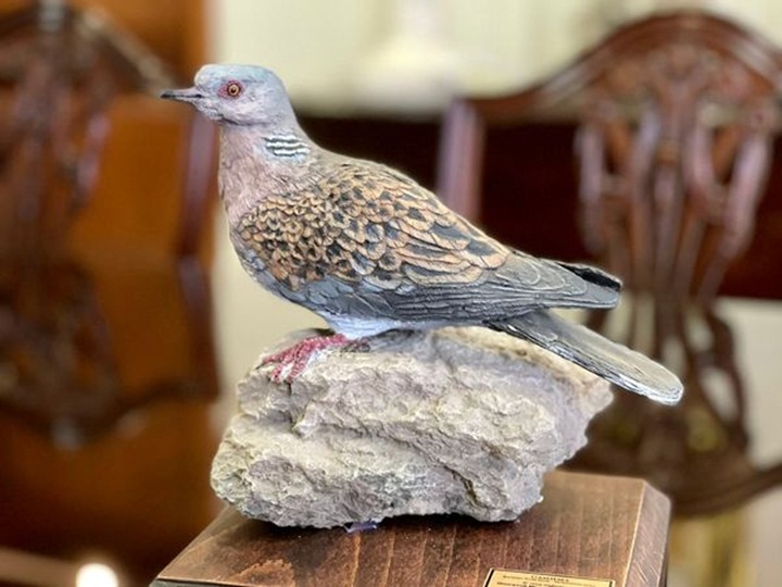 FKNK accuse bird activists of ``neocolonial behaviour''