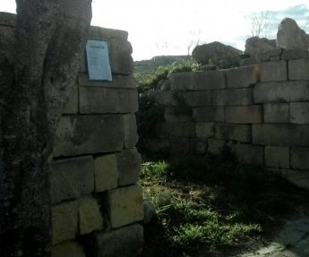 Application for sheep farm on Ghasri ODZ suspended to carry out site visit