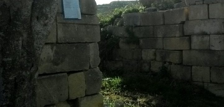 Application for sheep farm on Ghasri ODZ suspended to carry out site visit