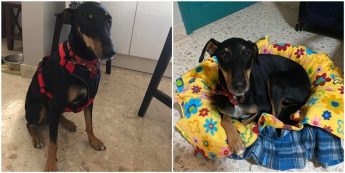 Update: Jimmy has been found safe and well