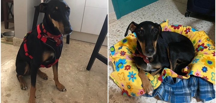 Update: Jimmy has been found safe and well