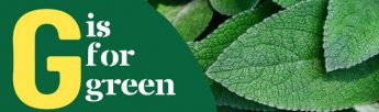 Agenzija Zghazagh – G is for Green – applications now open