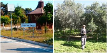 International Tree Foundation amalgamates with Nature Trust