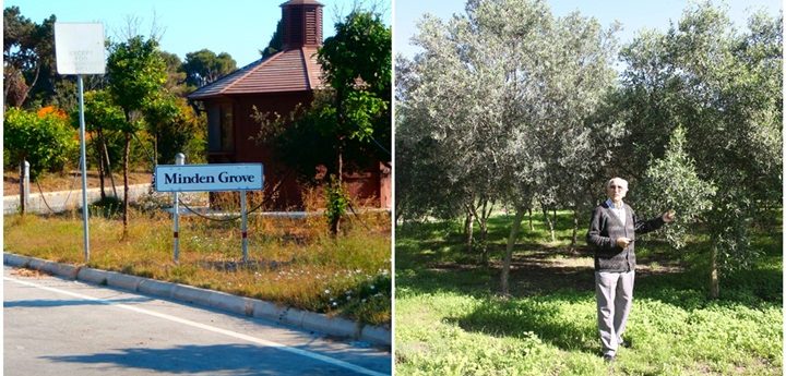 International Tree Foundation amalgamates with Nature Trust