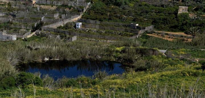 National Strategy for the Environment launched for public consultation