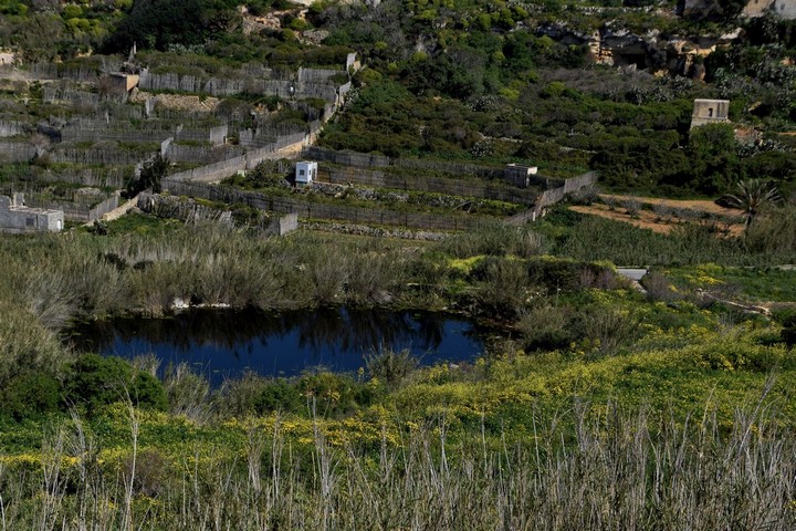 Momentum fully supports PN on constitutional protection of the environment