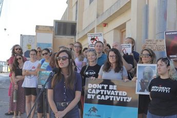 16 organisations demand closure of Mediterraneo Marine Park 16 organisations demand closure of Mediterraneo Marine Park