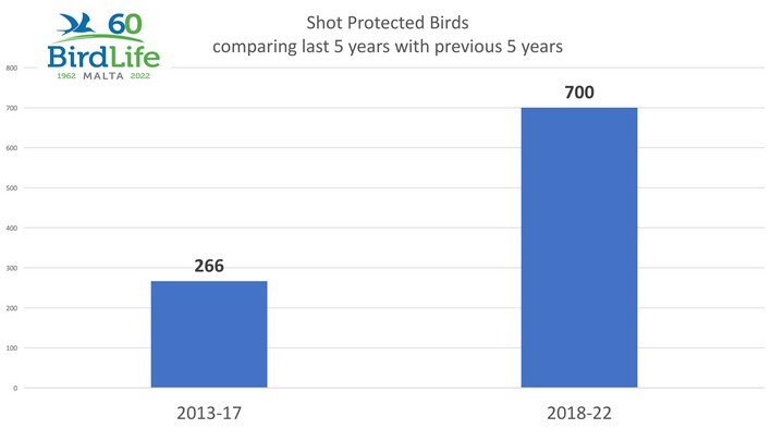 Autumn hunting: BirdLife highlights "free-for-all situation" on Gozo