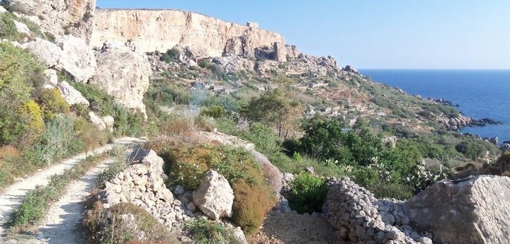 Guided circular Gozo nature walk with NTM guide this Saturday 