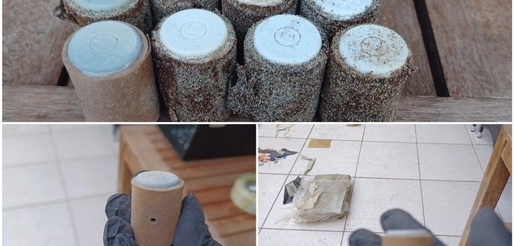 NTM calls for proper disposal of waste, after 13 petards found on clean-up