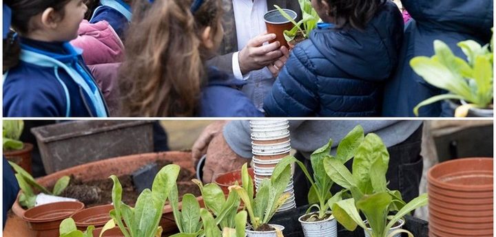Arbor Day celebrated with Kercem Primary School students