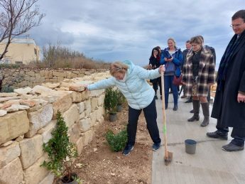Green Diplomacy Network Malta plant 250 trees and shrubs