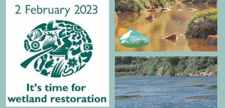 World Wetlands Day celebrated by Nature Trust – Fee Malta