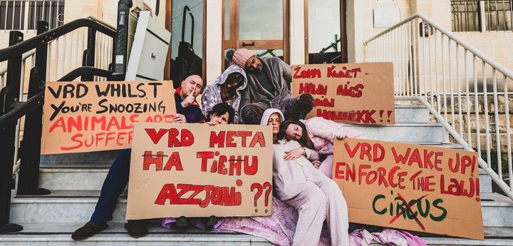 Animal activists on “illegal circus act” – “VRD wake up! Enforce the law”