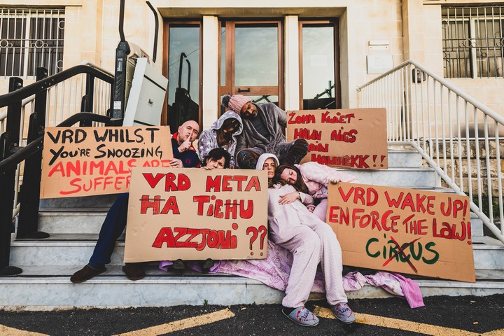 Animal NGOs and activists voice serious concerns over new Animal Welfare Act